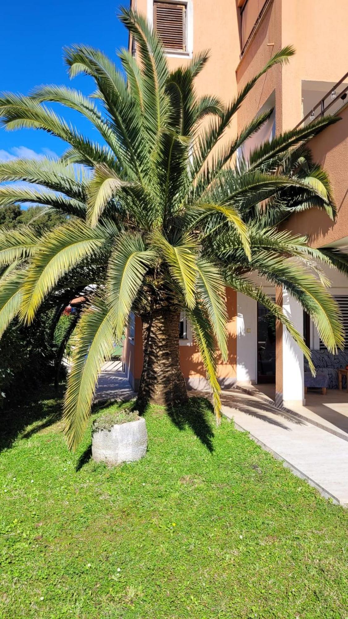 Apartment Casa Fidelia *